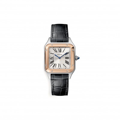 CARTIER SANTOS-DUMONT WATCH 38MM W2SA0012